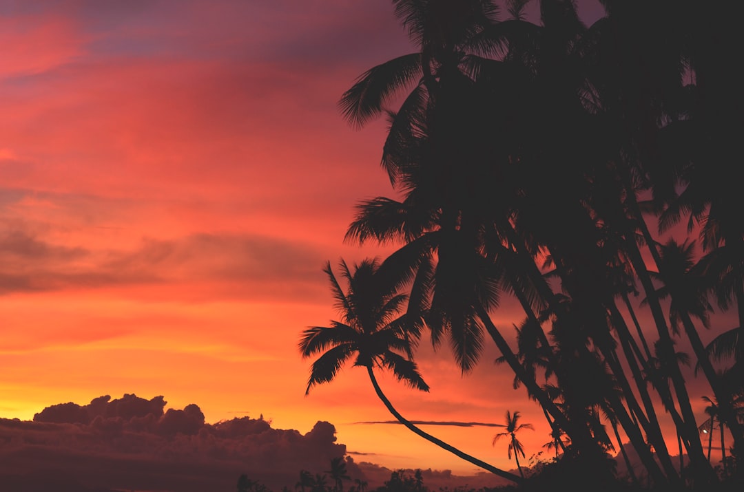 Isle of Paradise: The Ultimate Destination for a Tropical Getaway