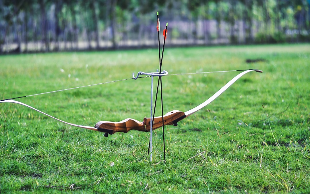 Master the Art of Archery with Bear Equipment